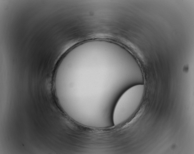X0000103431170200809121029
