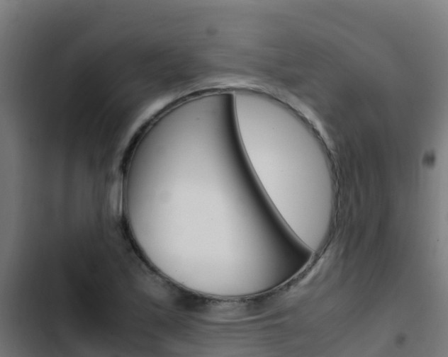X0000103431171200809121029