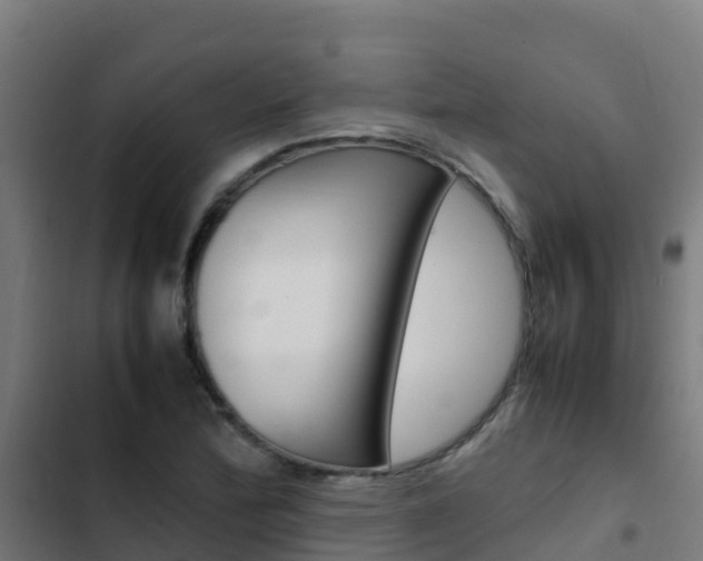 X0000103431172200809121029