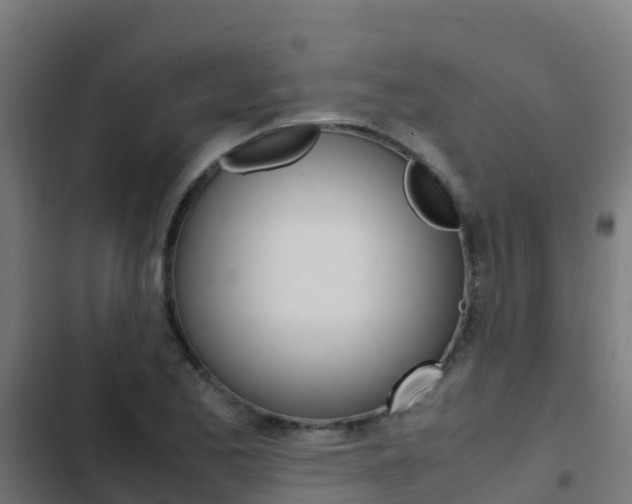 X0000103431173200809121029