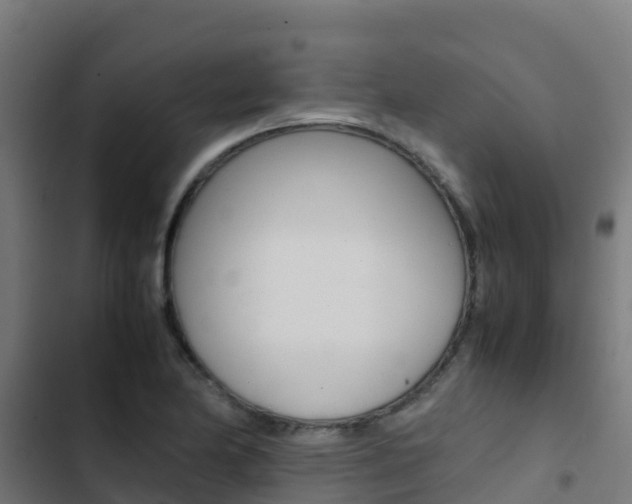 X0000103431174200809121029