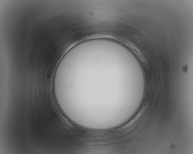 X0000103431177200809121029