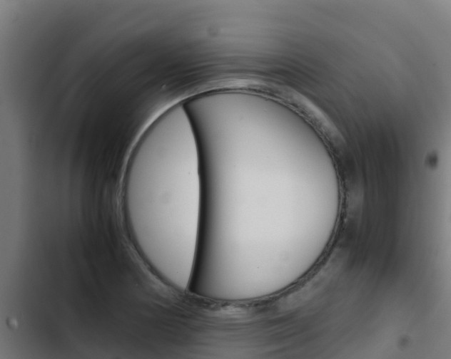 X0000103431178200809121029