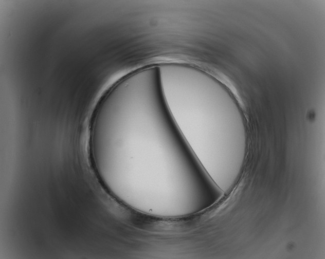 X0000103431179200809121029
