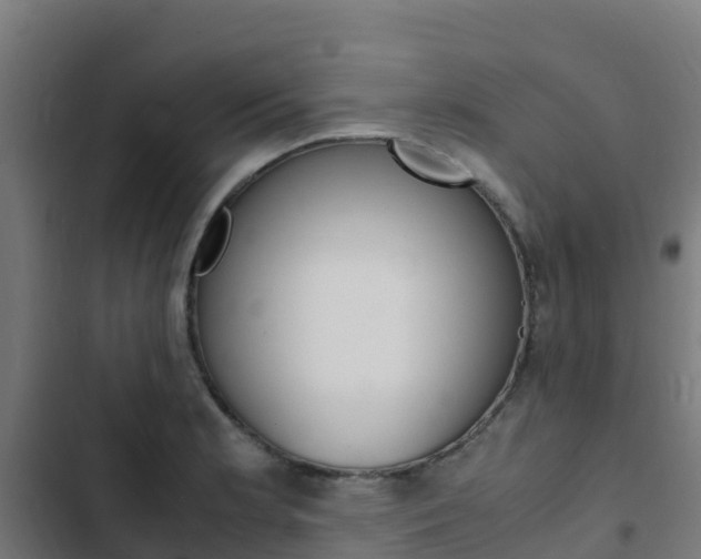 X0000103431181200809121029