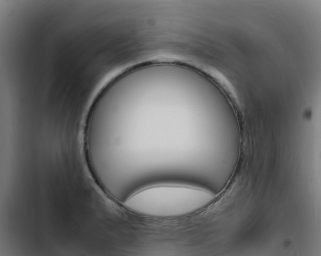 X0000103431183200809121029