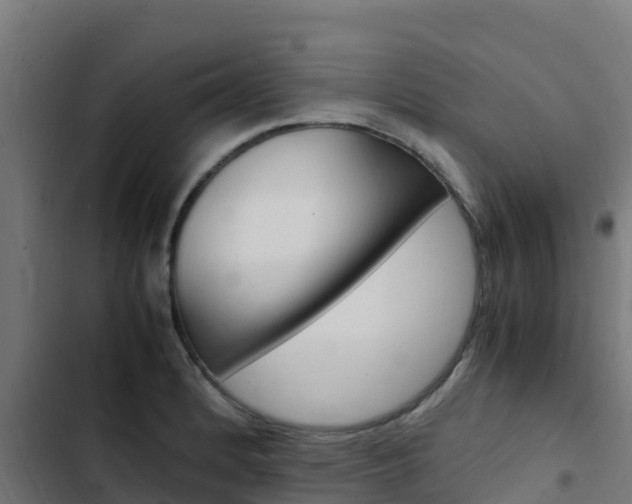 X0000103431184200809121029