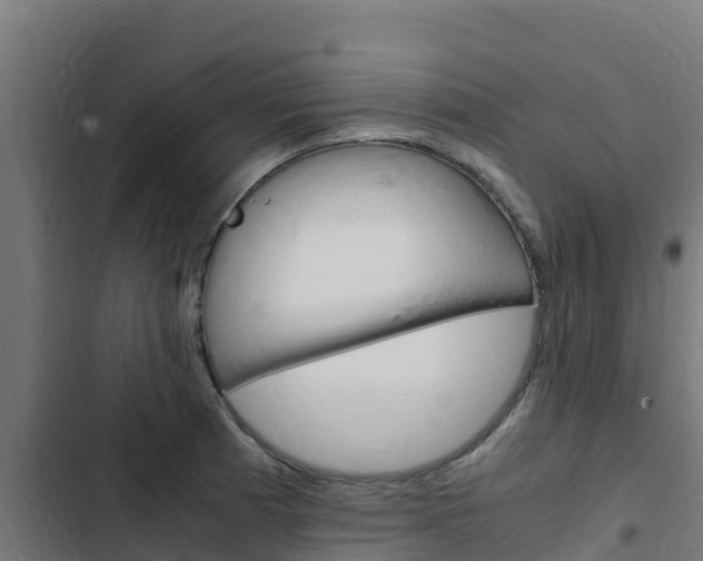 X0000103431185200809121029