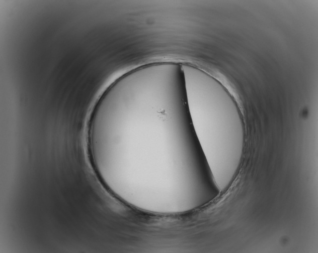 X0000103431187200809121029