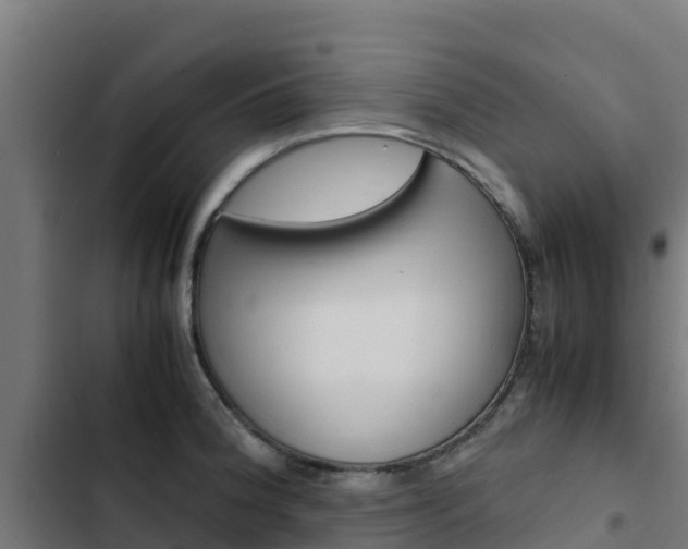 X0000103431188200809121029
