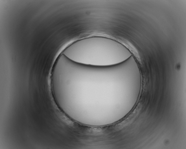 X0000103431190200809121029