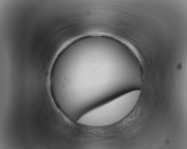X0000103431191200809121029
