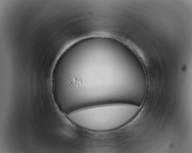 X0000103431192200809121029