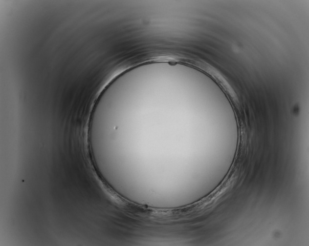 X0000103431194200809121029