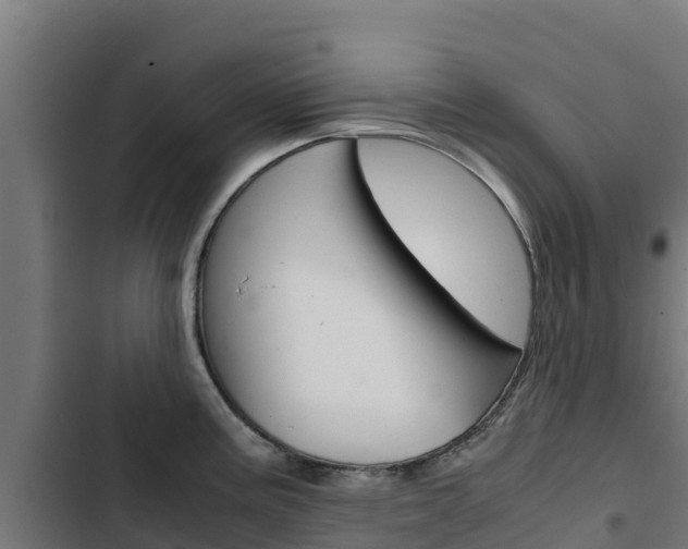 X0000103431195200809121029