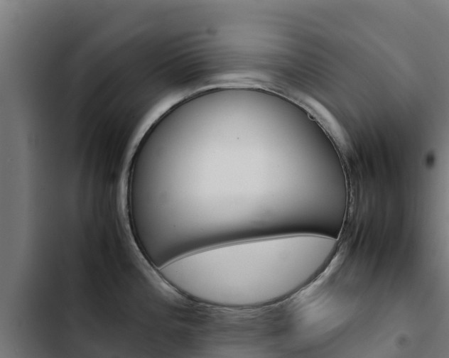 X0000103431196200809121029