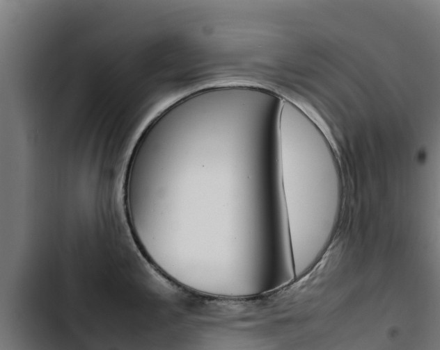 X0000103431197200809121029