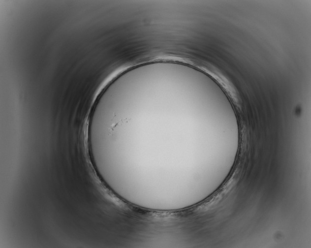 X0000103431198200809121029