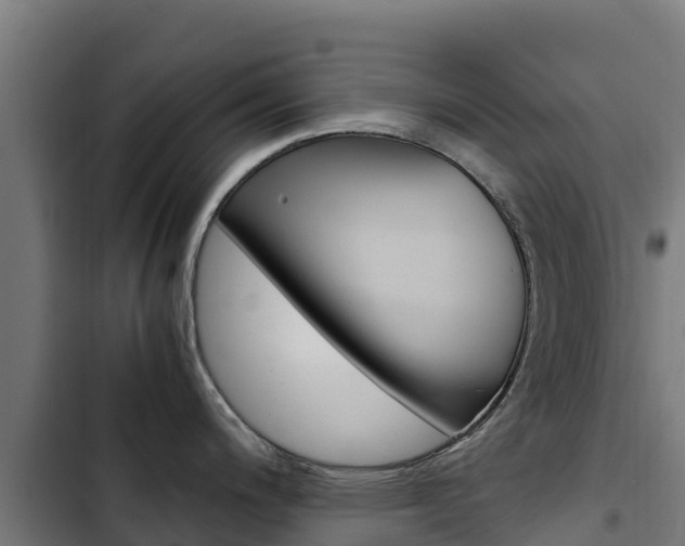 X0000103431200200809121029