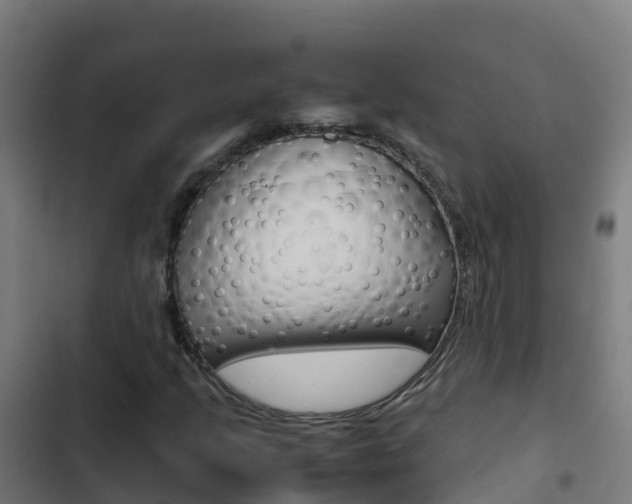 X0000103431205200809121028