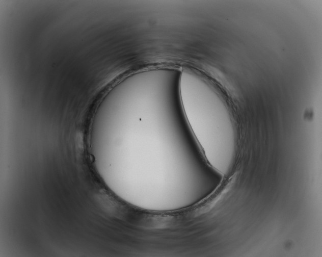 X0000103431209200809121028