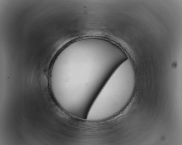 X0000103431212200809121028