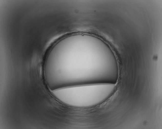 X0000103431214200809121028
