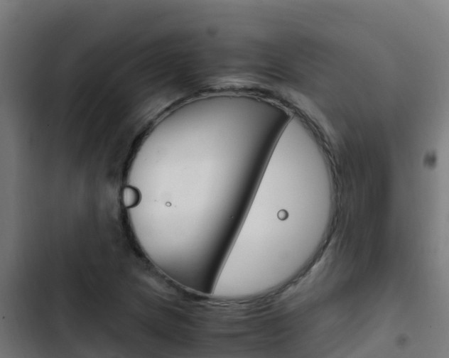 X0000103431217200809121028