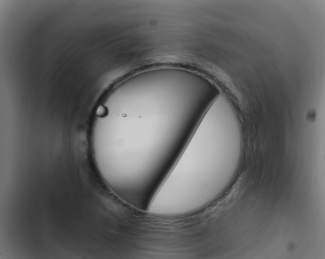 X0000103431218200809121028