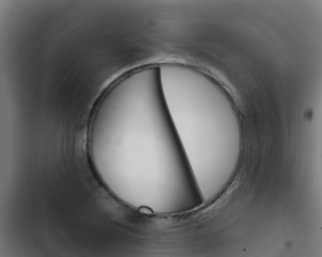 X0000103431220200809121028