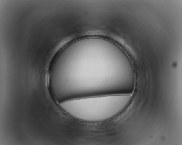 X0000103431221200809121028