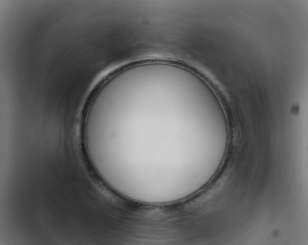 X0000103431222200809121028