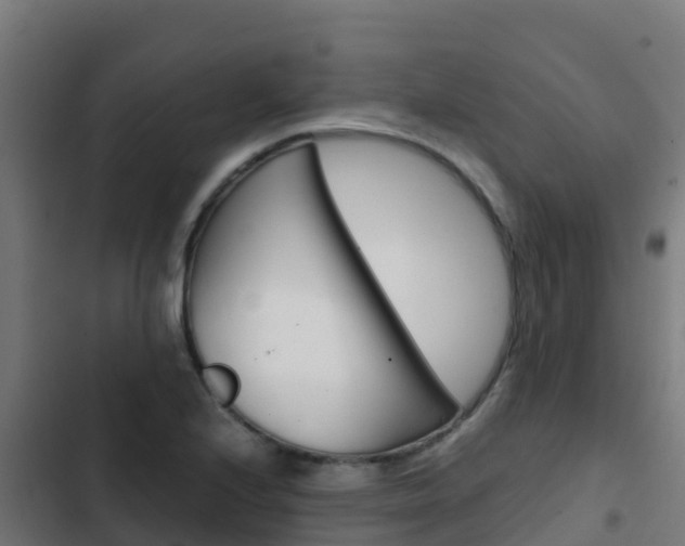 X0000103431224200809121028