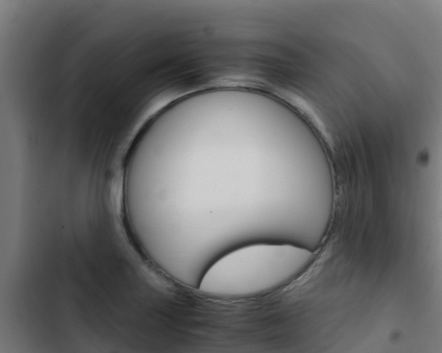 X0000103431227200809121028