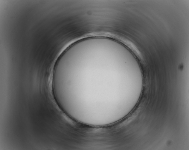 X0000103431228200809121028