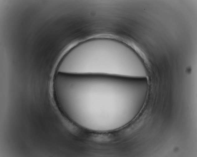 X0000103431229200809121028