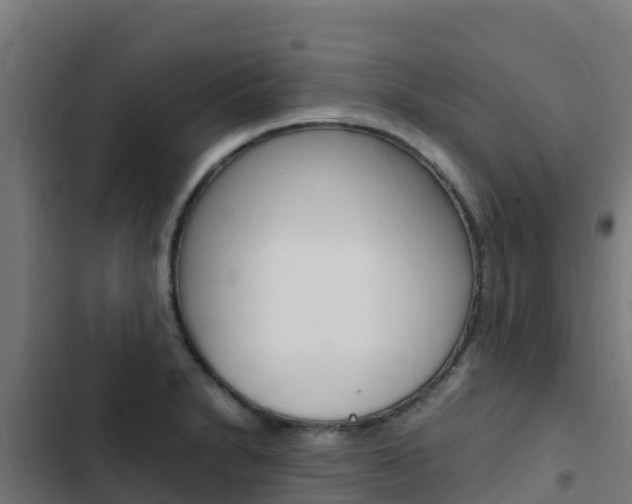 X0000103431230200809121028