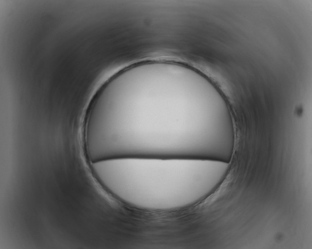 X0000103431231200809121028