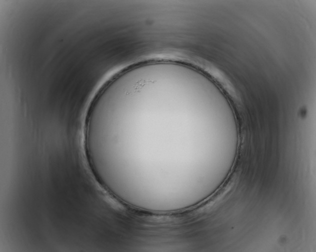 X0000103431232200809121029