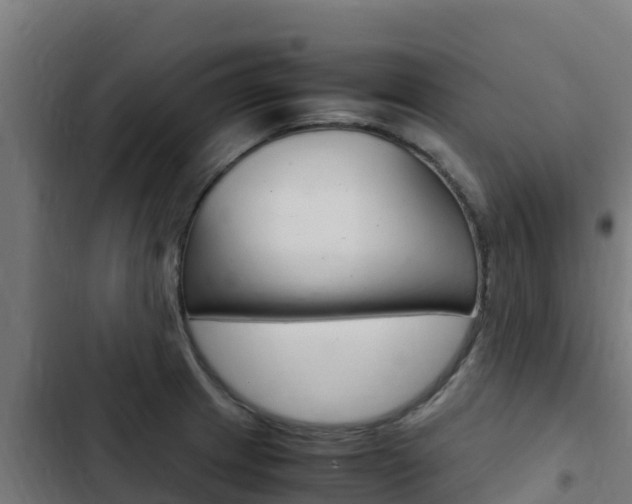X0000103431233200809121029