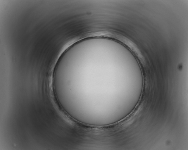 X0000103431234200809121029