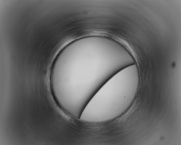 X0000103431235200809121029