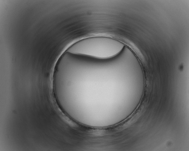 X0000103431236200809121029