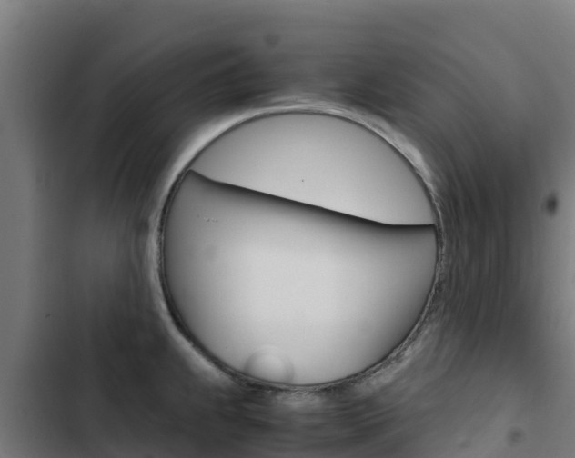 X0000103431239200809121029