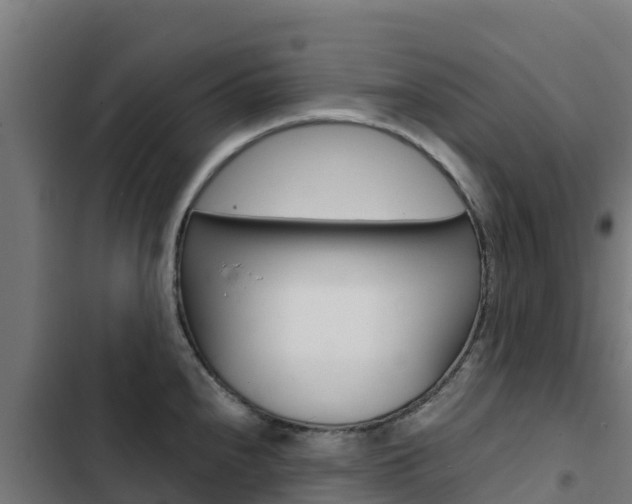 X0000103431240200809121029