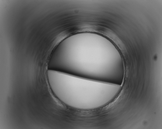 X0000103431241200809121029