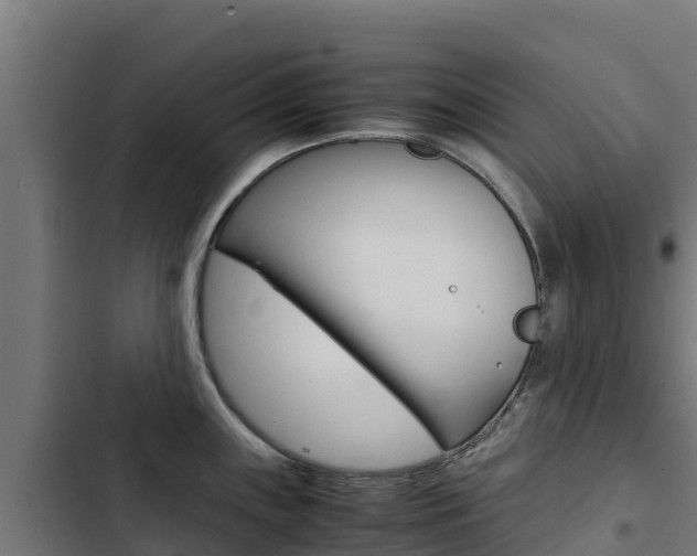 X0000103431243200809121029