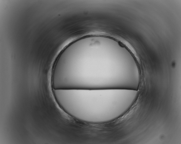 X0000103431245200809121029