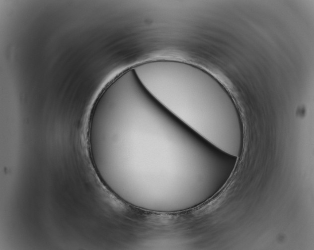 X0000103431248200809121029