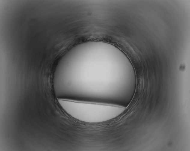 X0000103431250200809121028